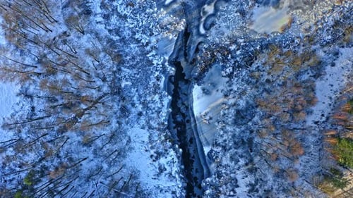 Frozen river and forest. Aerial view of winter nature