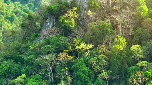 Majestic tropical forest on towering mountains by aerial view drone.