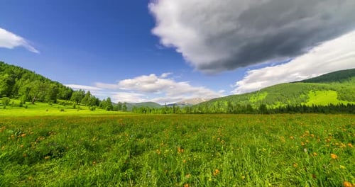 Bergwiesen-Zeitraffer zur Sommer- oder Herbstzeit Wilde Natur und ländliche Feldwolkenbewegung