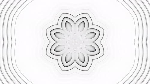 White flower with center surrounded by smaller white petals. Kaleidoscope VJ loop