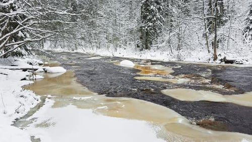 a Calm Winding River in a Snowy Forest Trees Under the Snow in the Forest Peace and Quiet Reflection