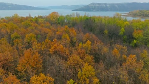 Fluss, Wald, Blick auf das Wasser, Landschaft, Berge, Luft, Natur