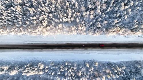 Top-down aerial of cars on a straight road through a snowy forest