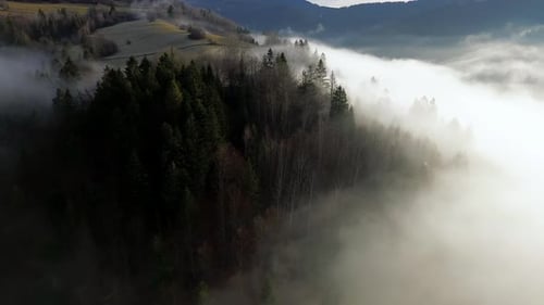 An Aerial View of the Autumnal Hilly Landscape Meadows and Forests Covered By Morning Mist
