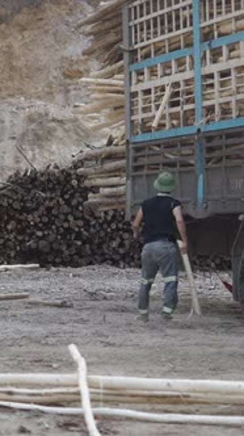 Man Loading Logs onto Truck in Rural Area