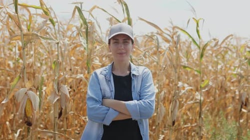 Woman Farmer in Corn Field on Sunny Day