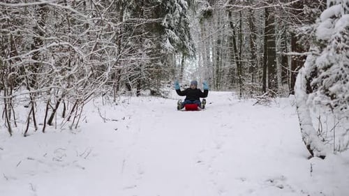Happy Child with Smile Slides Down on Red Sled in Snowy Forest Waving His Arms