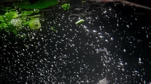 Slow Motion Video of Throwing a Mix of Vegetables Into Boiling Water