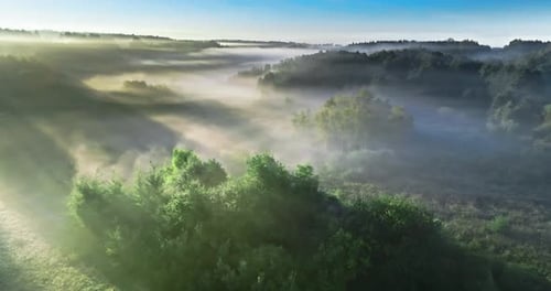 Aerial view of foggy valley in autumn at sunrise.