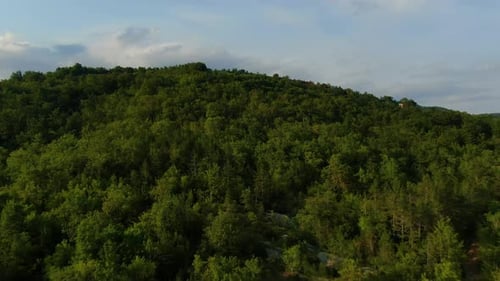 Forest hill near lake Butoniga dam in Croatia Istria peninsula, Aerial drone flyover shot