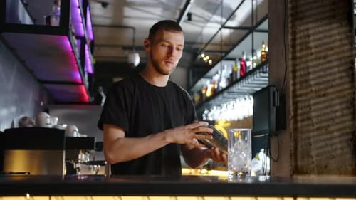 the Bartender Makes an Alcoholic Cocktail in a Shaker at the Bar Counter