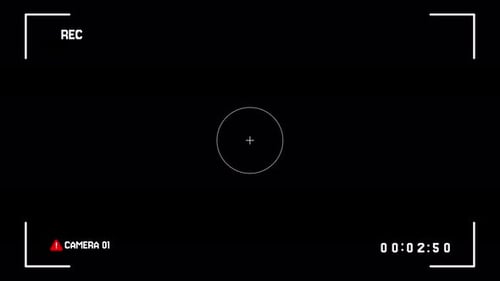 Digital Camera Viewfinder Interface Overlay with Blinking Recording Indicator