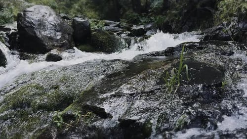 Fresh Water Flows Over Rocks in a Mountain Stream