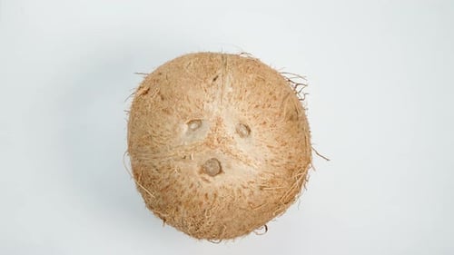 Looped video of a coconut rotating on a white background, top-down view, isolated.