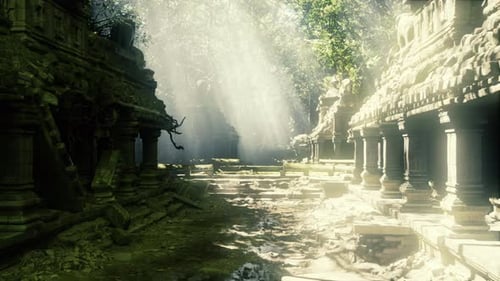 Illuminated Walkway Reveals Secrets of Longforgotten Ruins and Forests