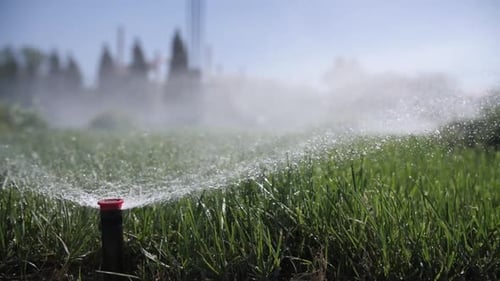 working lawn irrigation system