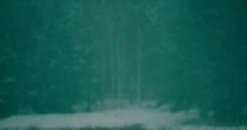 Soft Snowfall in Teal Winter Forest