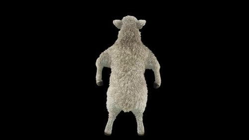Funny 3D Animated Dancing Sheep Character