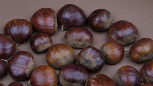 chestnut background
