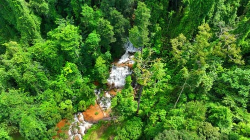 Lush Tropical Forest with Flowing River from Above