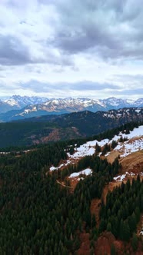 Splendid mountainous panorama overgrown with pine tree woods.