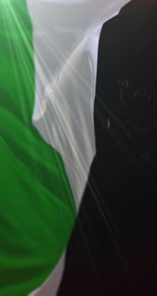 Fluid Waving Fabric Vertical Background Seamless Loop