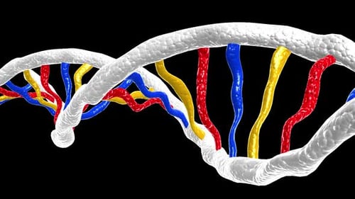 Human DNA helix, beautiful abstract animated background