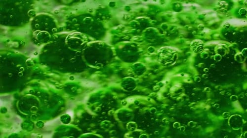 macro shot of a mix of small and big green bubbles getting mixed in water, slowly moving around