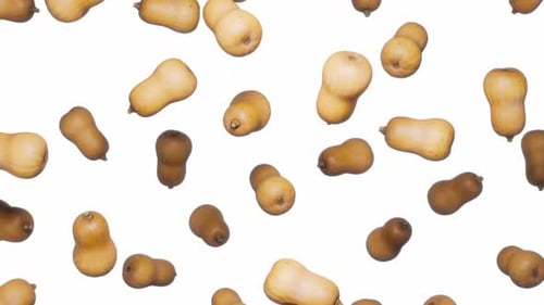 Falling Butternut Squash Vegetable Pattern Animation