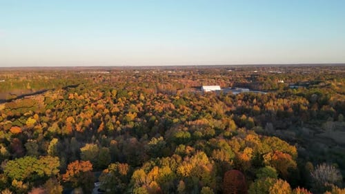 Stunning aerial footage of a forest showcasing vibrant autumn colors. The trees display beautiful sh