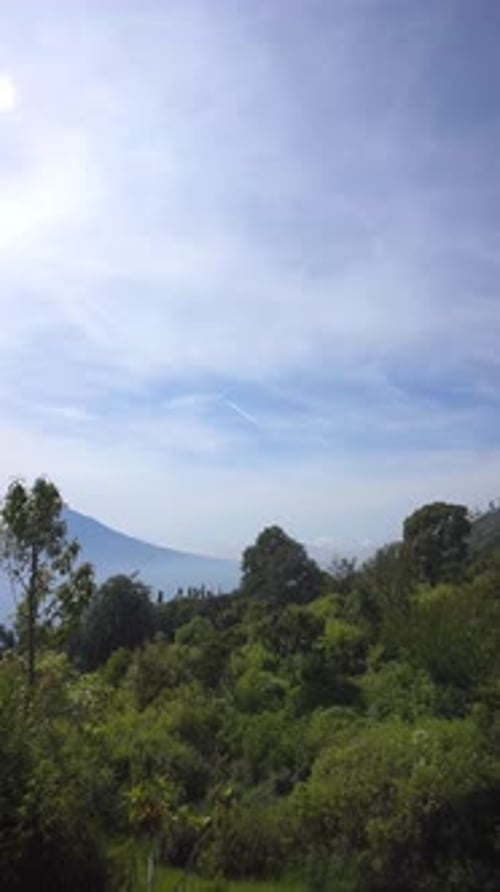 mountain scenery, natural hill panorama, tall green forests and green slopes during the day