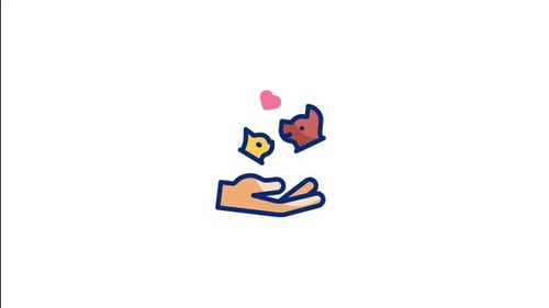 Pet Care Animated Icon