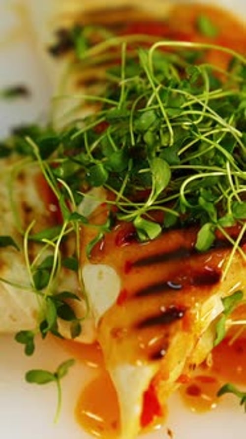 Tortilla Wrap with Sprouts and Sauce Vertical Close Up