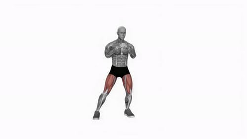 Human Anatomy Lunges Exercise Animation with Muscle Highlight