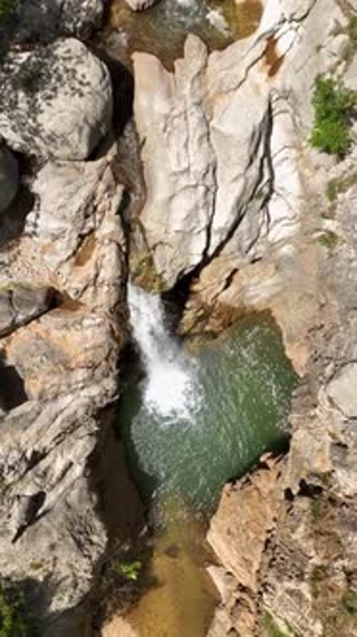 Vertical Video Mountain Expedition Travelers Trekking Through the Green Forest