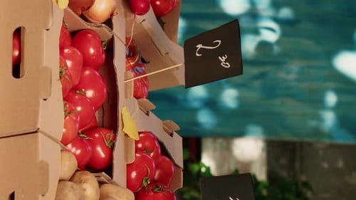 Vertical Video Natural Colorful Fresh Fruits and Veggies on Display at Farmers Market