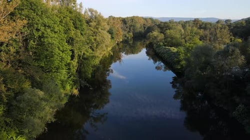 Fly over the river surrounded by trees around the lake and lots of nature around.