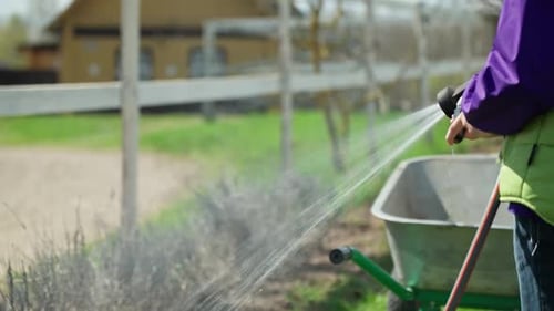 Child Watering Flowers and Plants in Garden