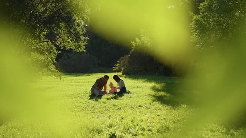 Family Enjoying Quality Time in a Sunny Park on a Warm Afternoon