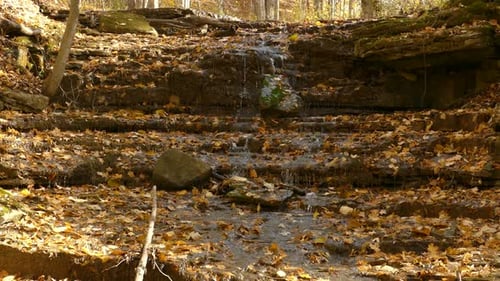 Wunderschöne Aufnahme der Natur im Herbst. Fallende Blätter und fließender Wasserfall