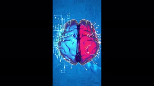 Konzeptionelle vertikale Animation der beiden Gehirne