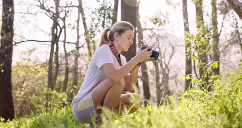 Woman, photographer and hiker with camera in forest for sightseeing, inspiration or tourism