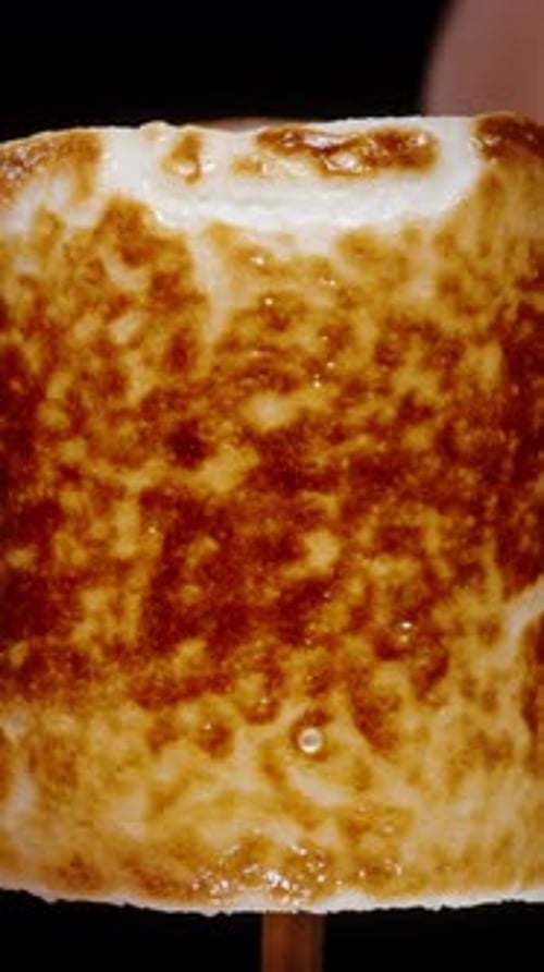 Marshmallow Covered in Cotton Candy