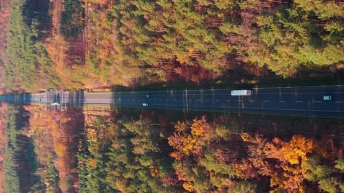 Multiline speed highway with fast moving cars and vehicles through autumn colorful forest