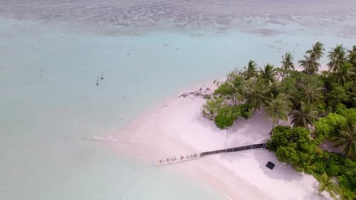 Órbita aérea de uma estreita faixa de areia com palmeiras que se estendem até a lagoa