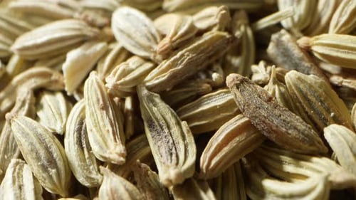 Fennel seeds, aromatic and flavorful, are small but potent.