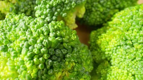 Close Up of Fresh Green Broccoli Florets