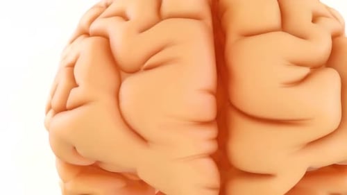 Close-up of brain with orange color scheme