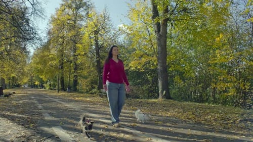 A Woman on a Walk with Dogs in an Autumn Park