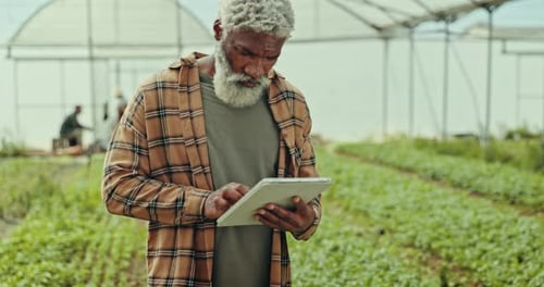 Man Using Tablet in Greenhouse